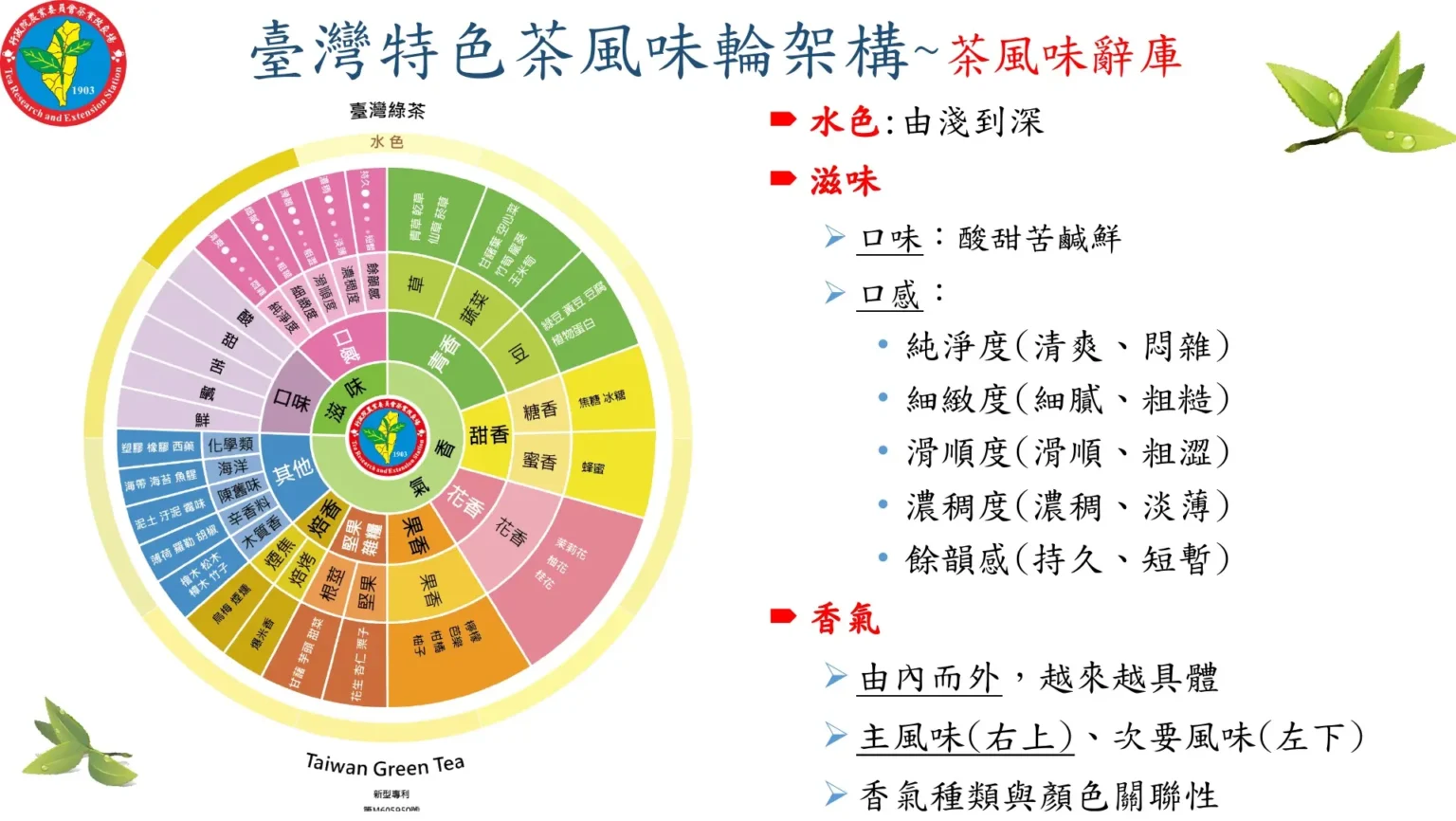 台灣茶風味輪說明