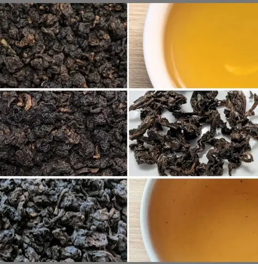 烘焙烏龍茶葉與茶湯對照
