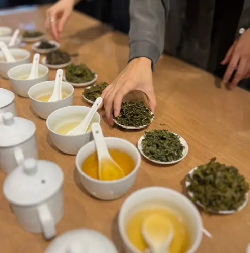 松柏長青茶乾與茶湯色澤