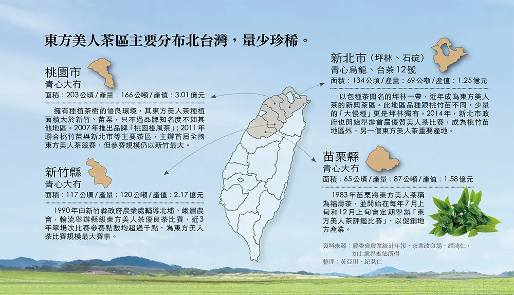 東方美人茶種植區分布