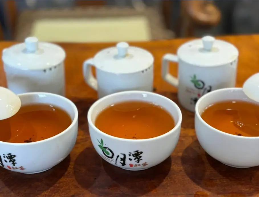 日月潭騰霖有機紅茶湯色澤