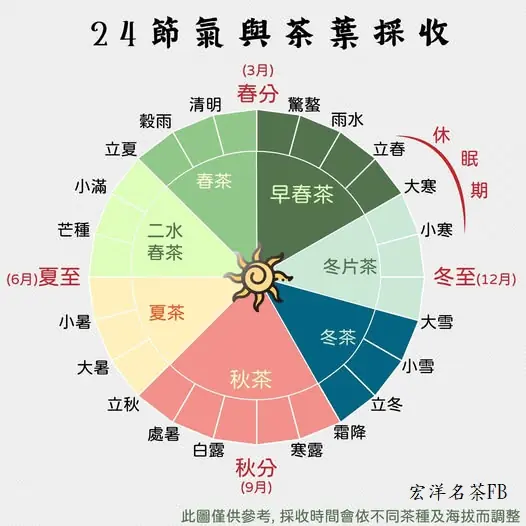 24節氣與茶葉採收